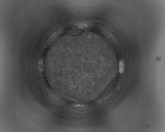 X0000090471395200708031254