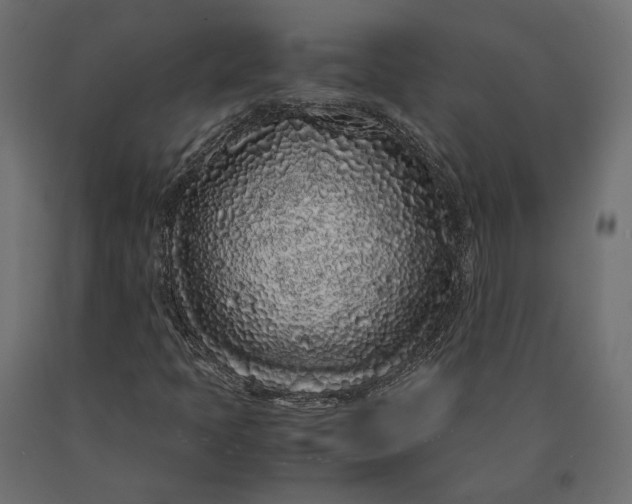 X0000090471397200708031254