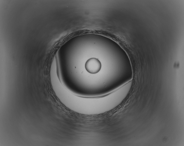 X0000090471398200708031254