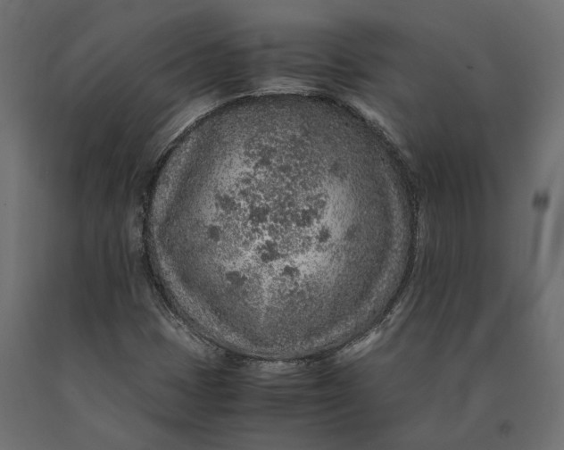 X0000090471401200708031254