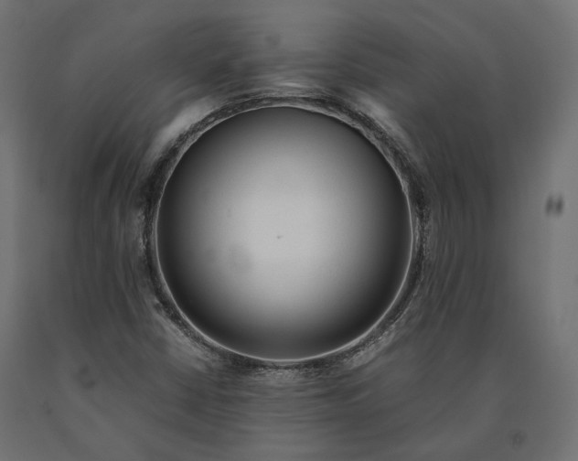 X0000090471402200708031254