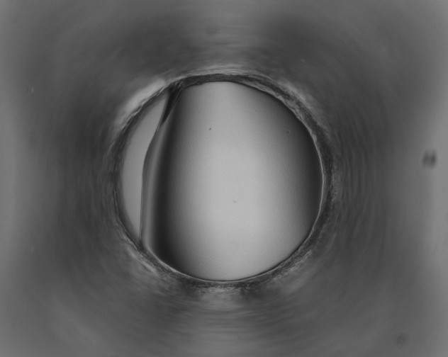 X0000090471406200708031254