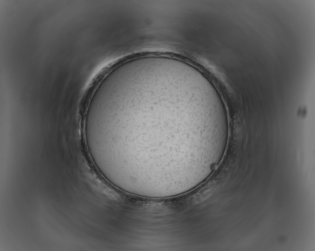 X0000090471408200708031254