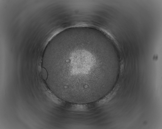 X0000090471409200708031254