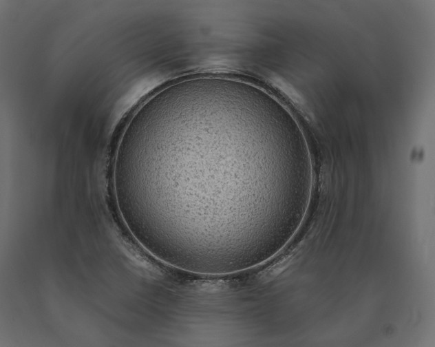 X0000090471410200708031254