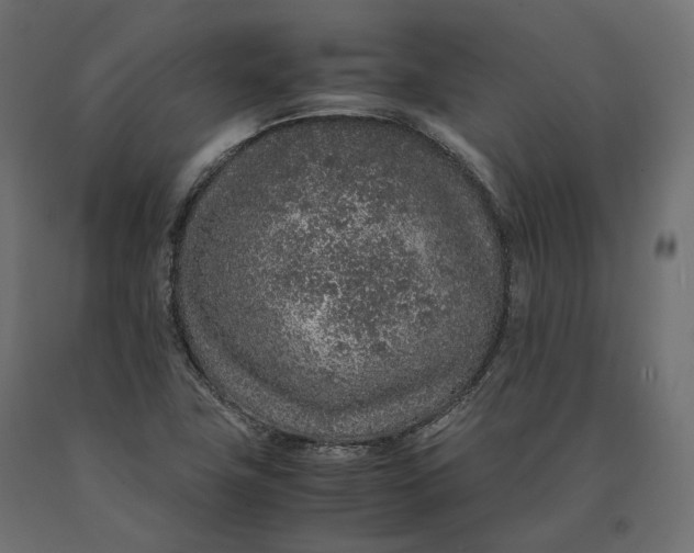 X0000090471411200708031254