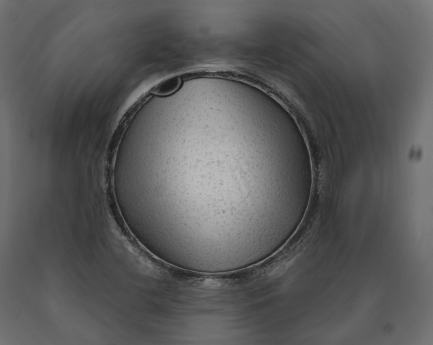 X0000090471412200708031254