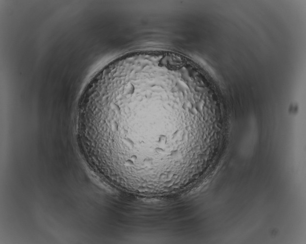 X0000090471413200708031254