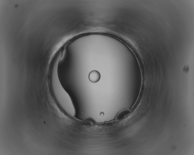 X0000090471414200708031254