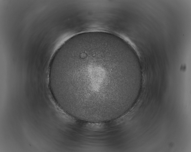 X0000090471415200708031254