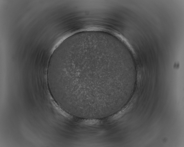 X0000090471417200708031254