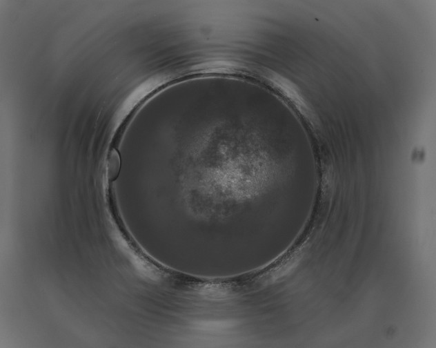 X0000090471418200708031254