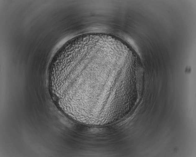 X0000090471419200708031254