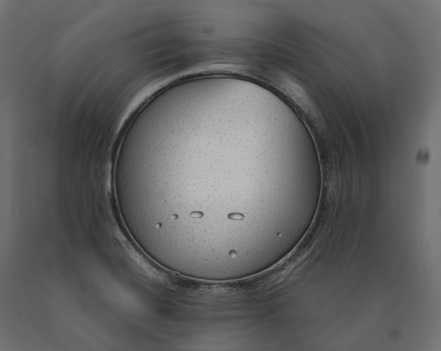 X0000090471420200708031254