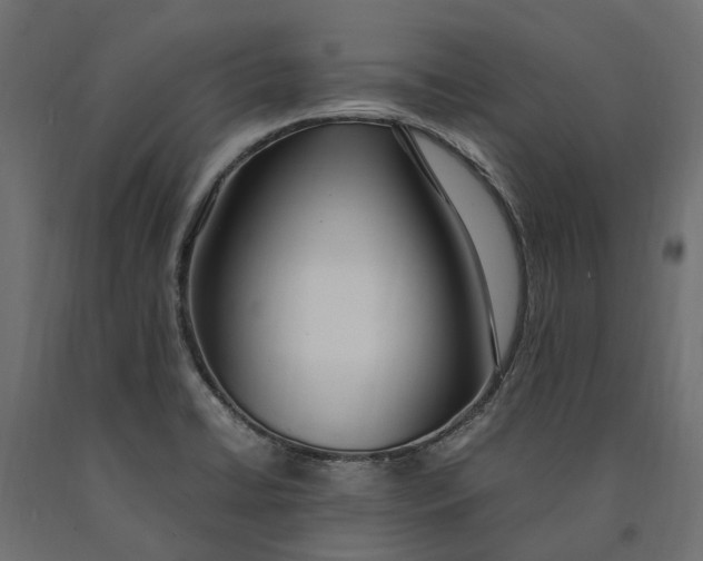 X0000090471422200708031254