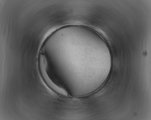 X0000090471424200708031254