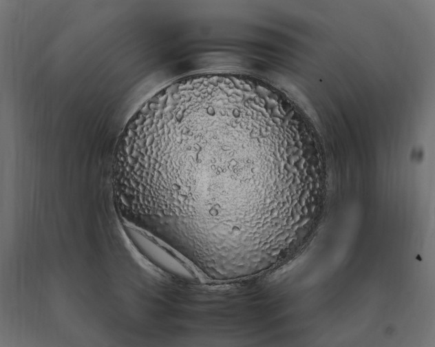 X0000090471425200708031254