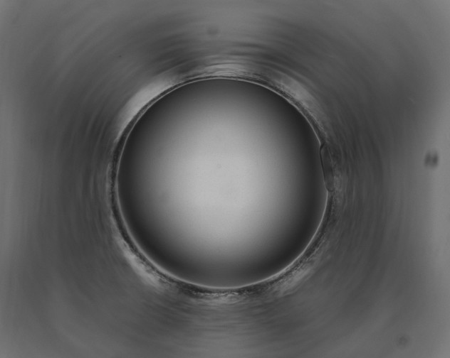 X0000090471426200708031254