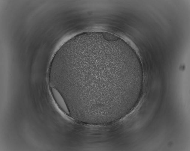 X0000090471429200708031254