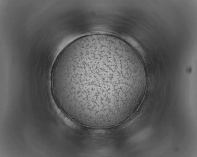 X0000090471431200708031254