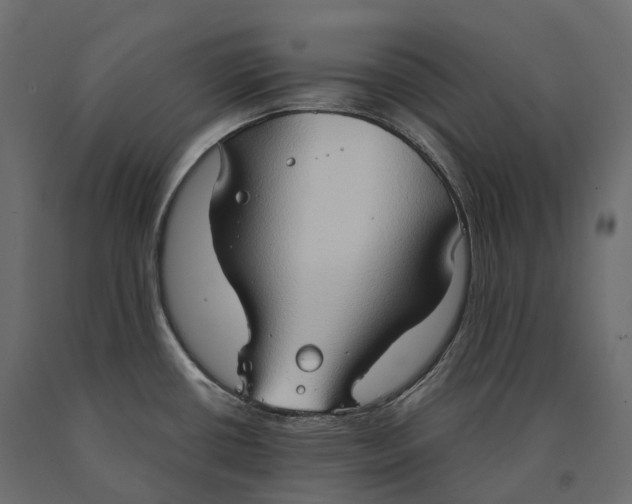 X0000090471434200708031254