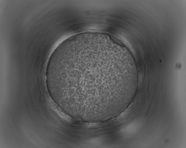 X0000090471435200708031254