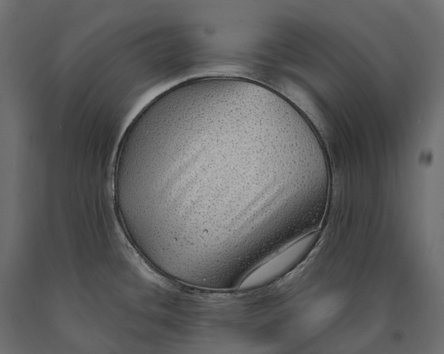 X0000090471436200708031255