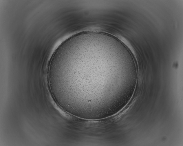 X0000090471437200708031255