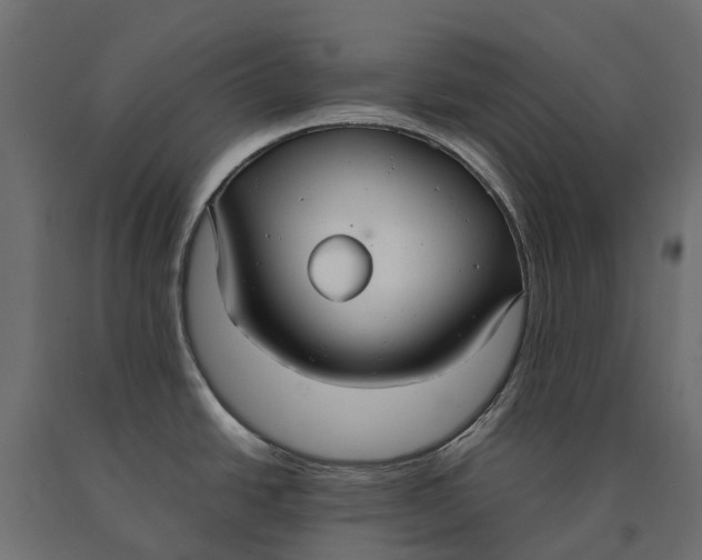 X0000090471438200708031255