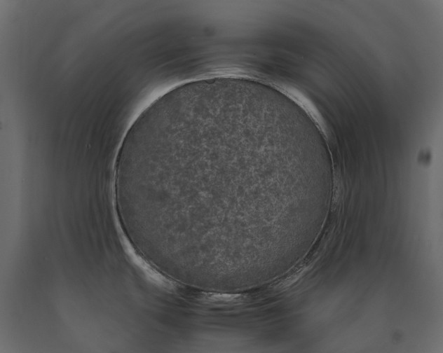 X0000090471439200708031255