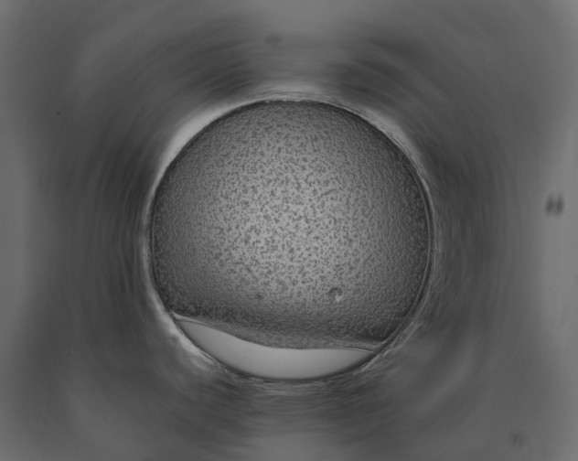 X0000090471440200708031255