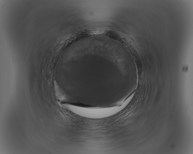 X0000090471441200708031254