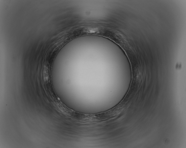 X0000090471442200708031254