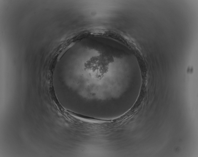 X0000090471445200708031254