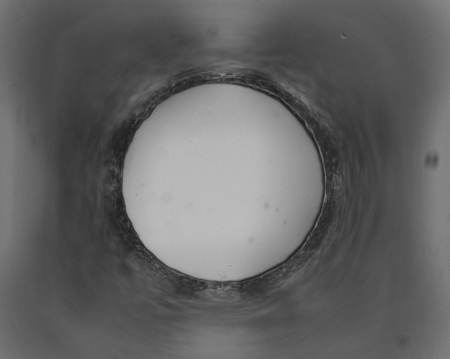 X0000090471447200708031253