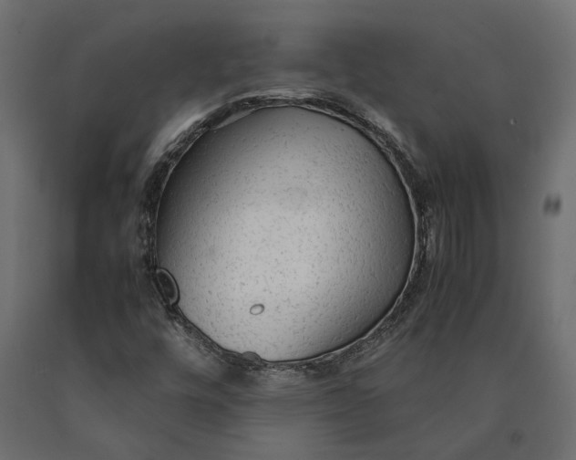 X0000090471448200708031253