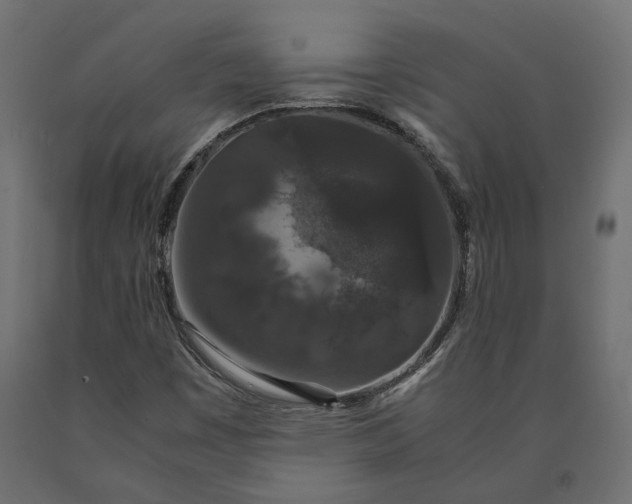 X0000090471449200708031253