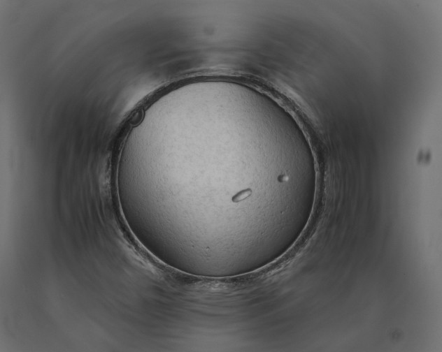 X0000090471450200708031253