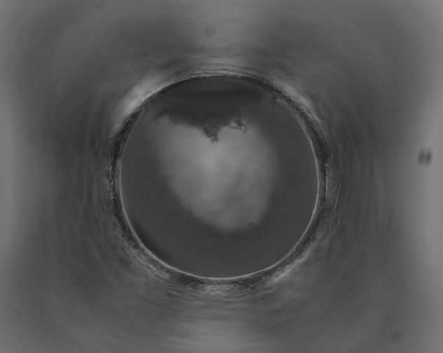 X0000090471453200708031253