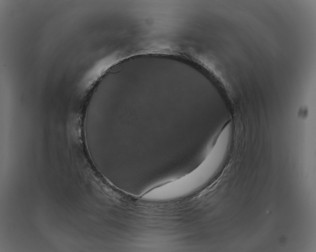 X0000090471455200708031253