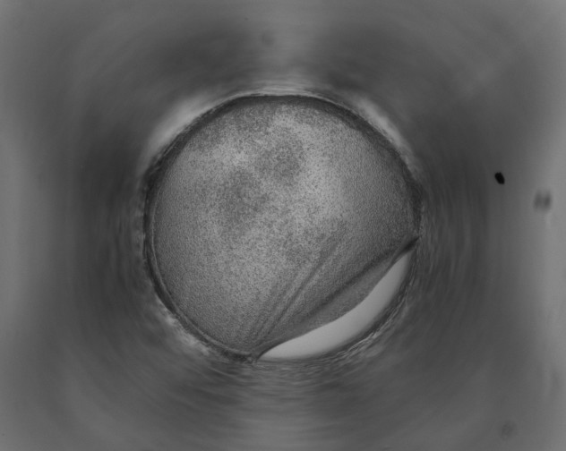 X0000090471456200708031253