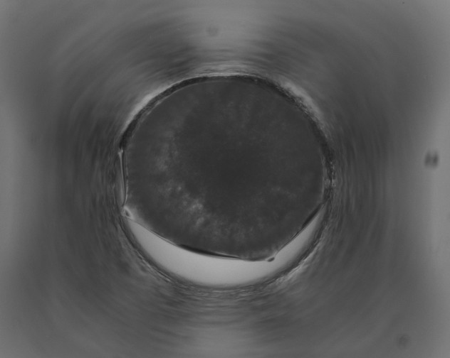 X0000090471457200708031253