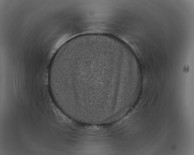 X0000090471459200708031253