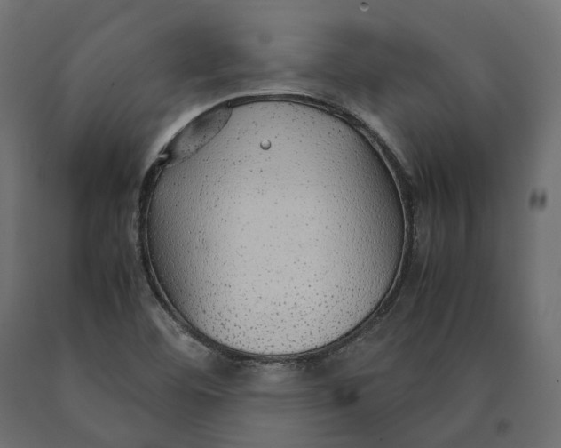 X0000090471460200708031253