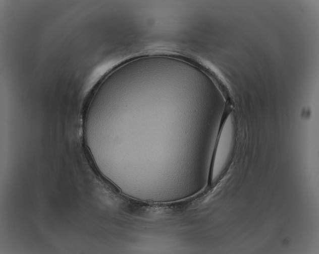 X0000090471461200708031253