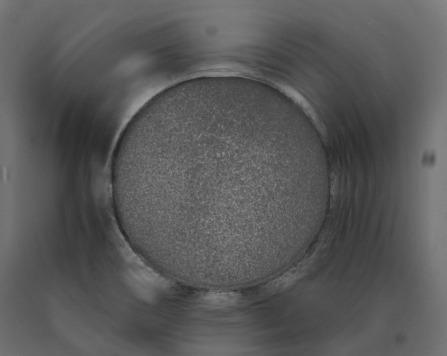 X0000090471466200708031253