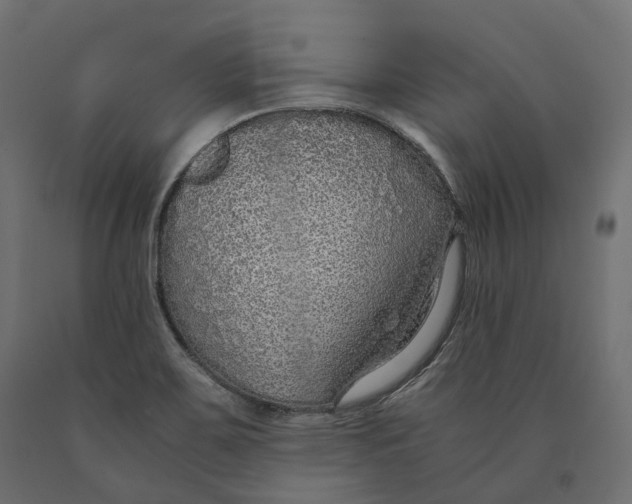 X0000090471467200708031253