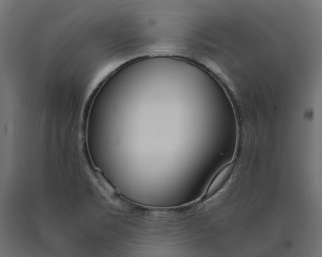 X0000090471469200708031253