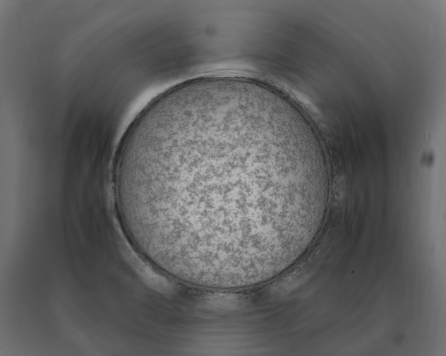 X0000090471470200708031253