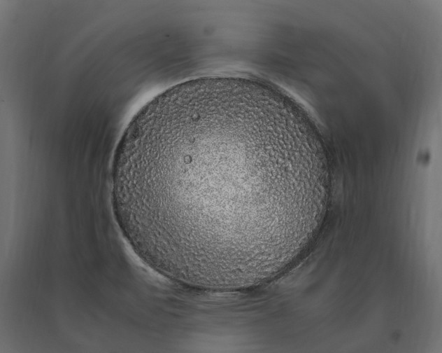 X0000090471471200708031253